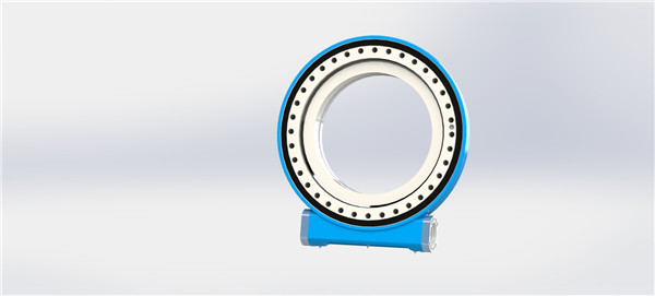 回轉(zhuǎn)驅(qū)動(dòng)的滾道會(huì)受損嗎？滾道受損原因及預(yù)防措施